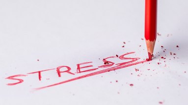 Изображение новости 4671